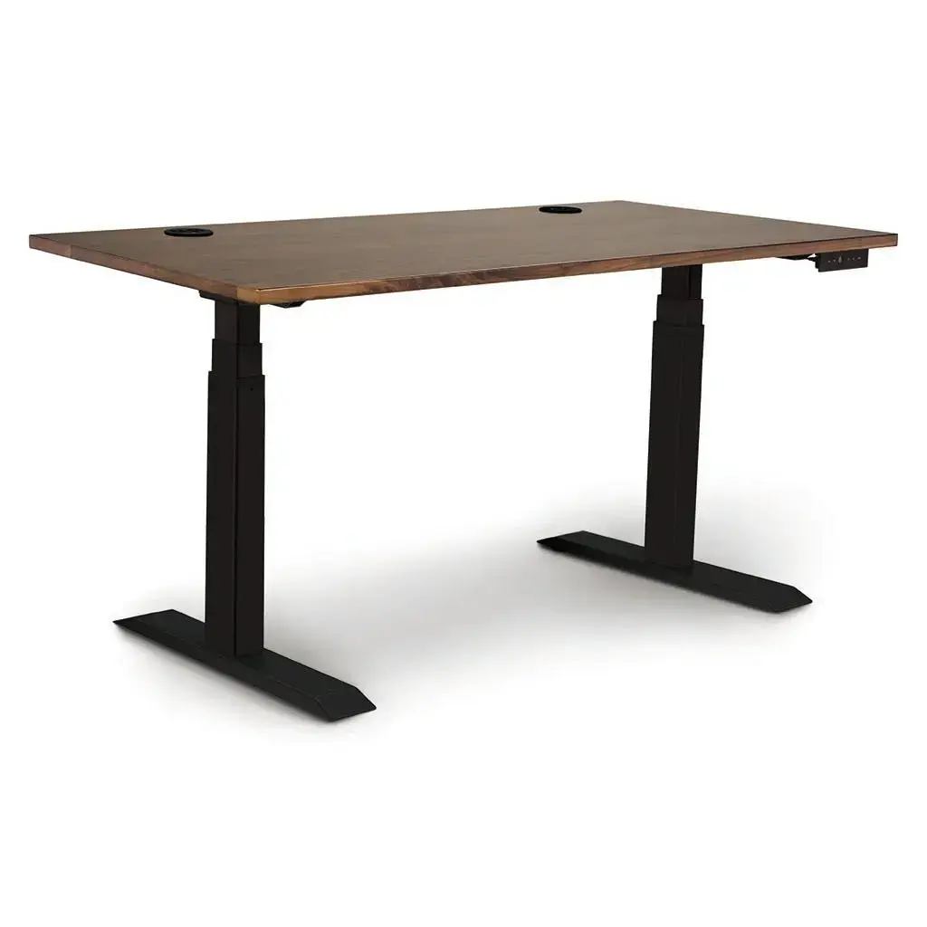Invigo Customizable Sit Stand Desk - Image 3