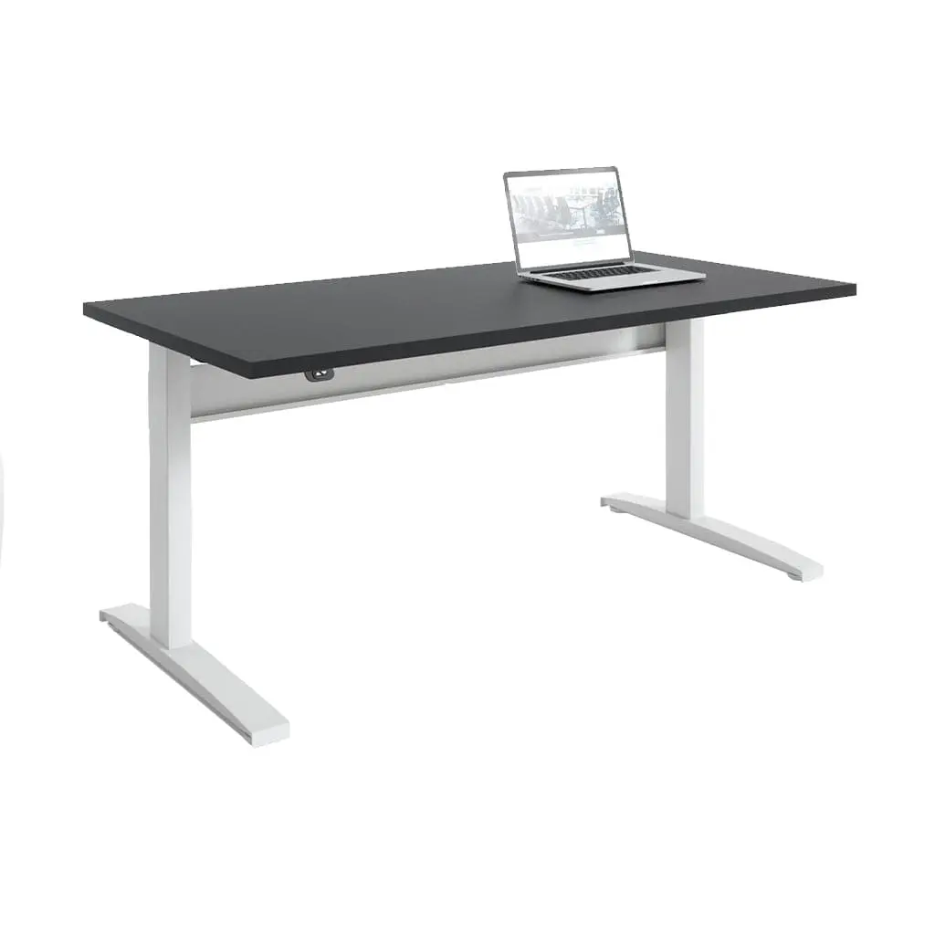 Transcend Sit to Stand Desk - Image 12