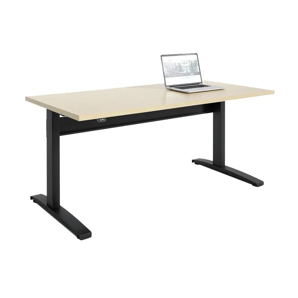 Transcend Sit to Stand Desk - Image 2