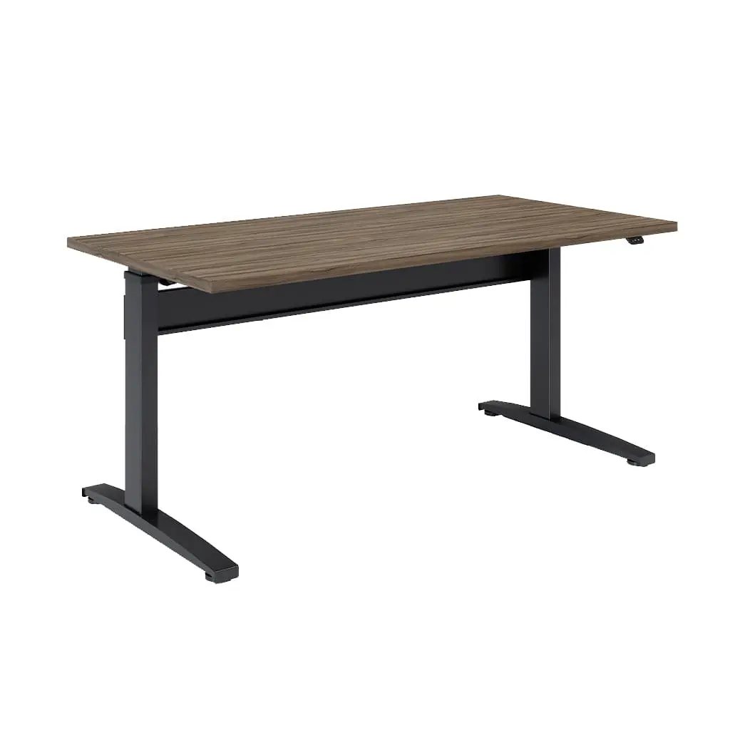 Transcend Sit to Stand Desk - Image 20
