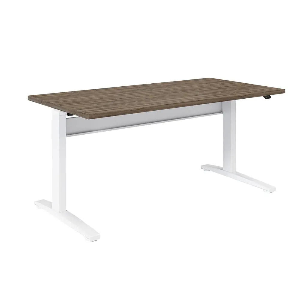 Transcend Sit to Stand Desk - Image 22