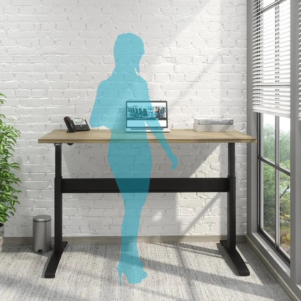 Transcend Sit to Stand Desk - Image 24