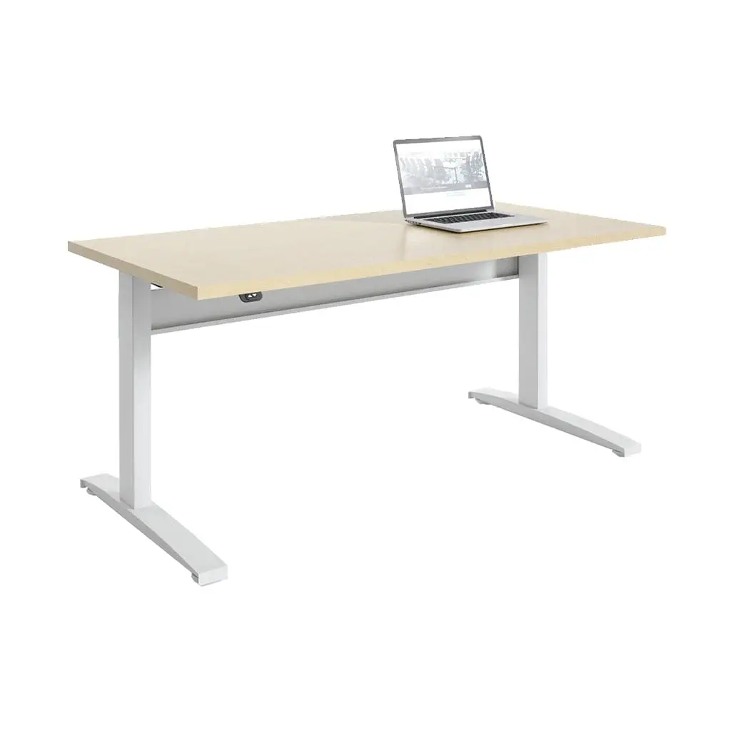 Transcend Sit to Stand Desk - Image 6