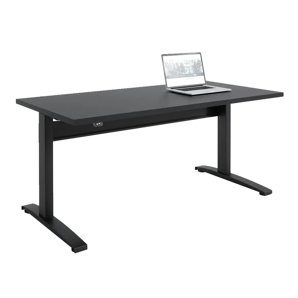 Transcend Sit to Stand Desk - Image 8
